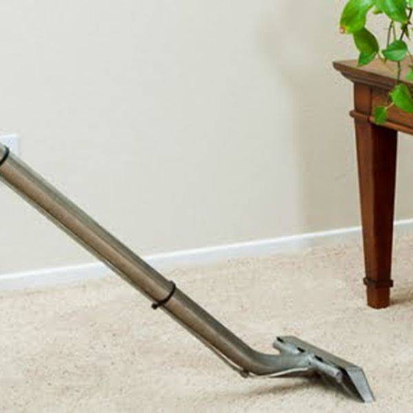 Carpet being vacuumed with a wand beside a wooden side table and a potted plant.